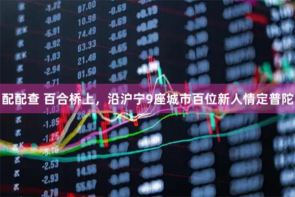 配配查 百合桥上，沿沪宁9座城市百位新人情定普陀