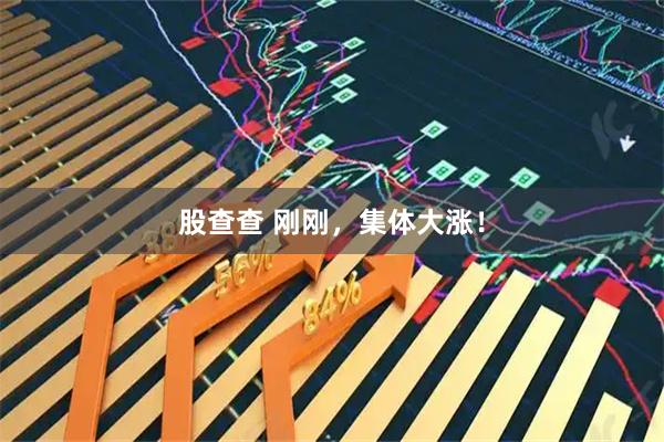 股查查 刚刚，集体大涨！