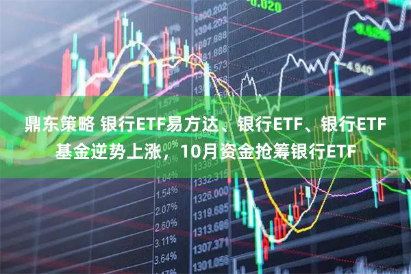 鼎东策略 银行ETF易方达、银行ETF、银行ETF基金逆势上涨，10月资金抢筹银行ETF
