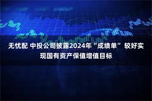 无忧配 中投公司披露2024年“成绩单” 较好实现国有资产保值增值目标