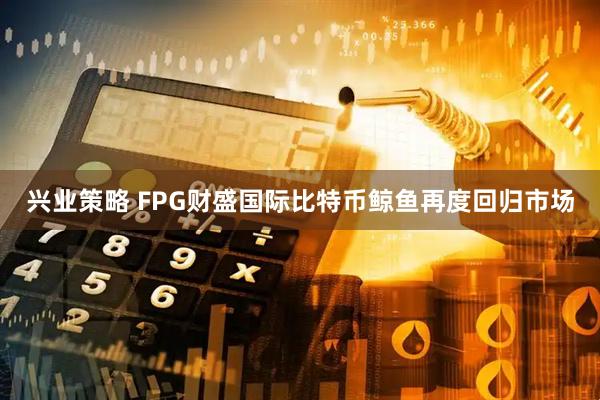 兴业策略 FPG财盛国际比特币鲸鱼再度回归市场