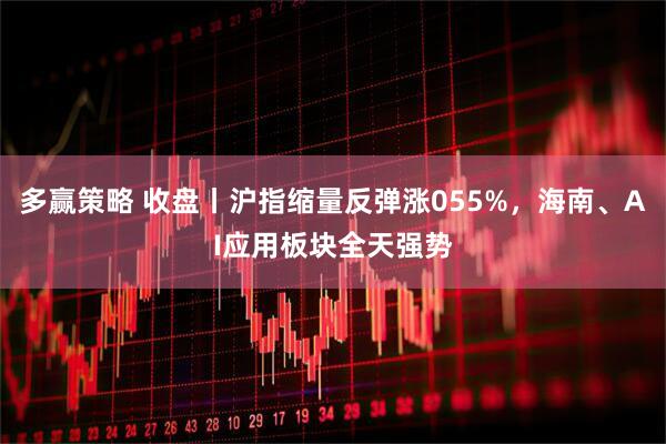 多赢策略 收盘丨沪指缩量反弹涨055%，海南、AI应用板块全天强势